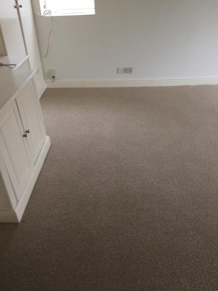 portfolio carpets room brown carpet flat 04