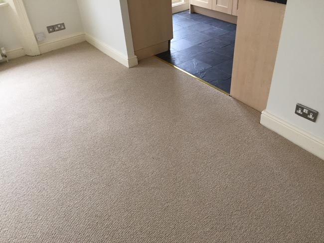 portfolio carpets room brown carpet flat 06