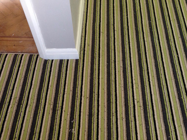 Room Flooring Residential Flooring - Carpet - Guide