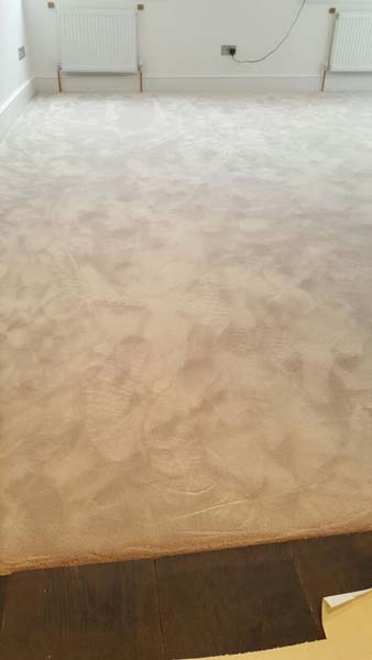 portfolio carpets rooms silkresse 05 2016-02-15