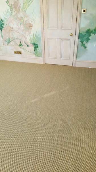 portfolio carpets sisal stairs 03 2016-02-15