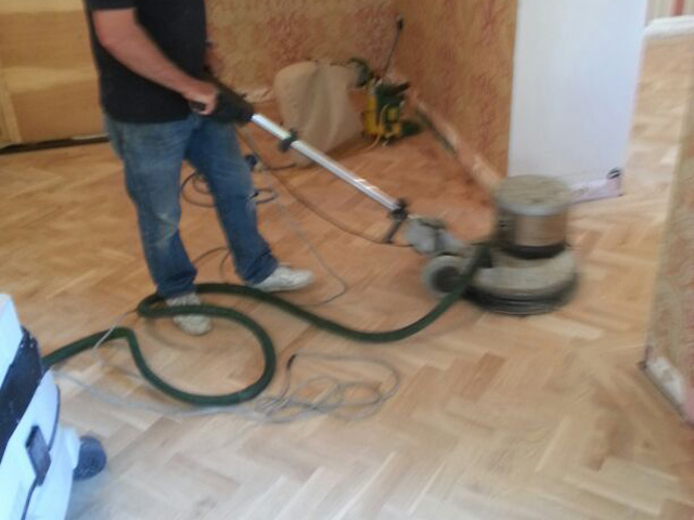 Kitchen, Sand and Seal