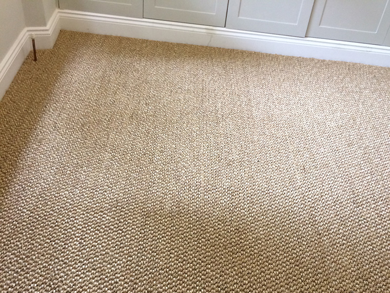 sisal 101, bedroom carpet