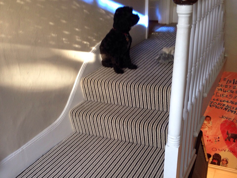 stripe usual way stair carpet