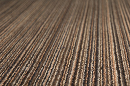 x-Move 2006-75perspectiv